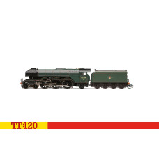 Parní lokomotiva Class A3 4-6-2 60084 'Trigo', BR, III. epocha, TT, DOPRODEJ, Hornby TT3006M