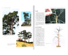 Modelling Trees Part Two - Conifers, Gordon Gravett, Wild Swan