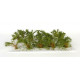 Vysoké keře, mikro listí, zelená savana, Polák 9201