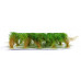 Vysoké keře, mikro listí, zelená osiková, Polák 9251