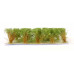 Vysoké keře, mikro listí, zelená vrbová, Polák 9252