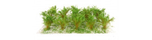 Vysoké keře, jemné listí, zelená osiková, Polák 9261