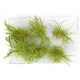 Střední keře, mikro listí, zelená savana, 6 ks, Polák 9301