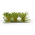 Střední keře, mikro listí, zelená savana, 6 ks, Polák 9301