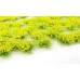 Květinové trsy žluté, Model Scene 060-02S
