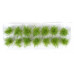 Nízké keře, mikro listí, zelená světlá, Polák 9102