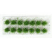 Nízké keře, mikro listí, zelená břízová, Polák 9103