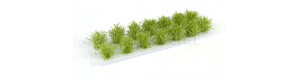 Nízké keře, mikro listí, zelená vrbová, Polák 9152