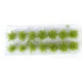 Nízké keře, mikro listí, zelená vrbová, Polák 9152