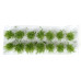Nízké keře, jemné listí, zelená osiková, 14 ks, Polák 9161