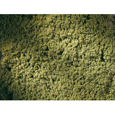 Foliáž z molitanové drti, májově zelená, 150 × 250 mm, Auhagen 76667