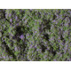 Foliáž z molitanové drti, rozkvetlé květiny, fialové, 95 × 150 mm, Auhagen 76931