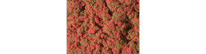 Foliáž z molitanové drti, rozkvetlé květiny, červené, 95 × 150 mm, Auhagen 76932