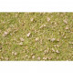 Statická tráva, horská louka, 2,5–6 mm,DOPRODEJ, Noch 07079