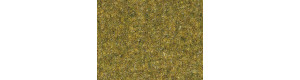 Travní vlákna, louka světlá, 2 mm, 20 g, Auhagen 75592