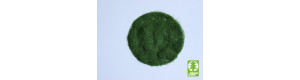 Statická tráva 2 mm – zelená 50 g, Model Scene 002-02