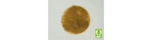 Statická tráva 6,5 mm – béžová 50 g, Model Scene 006-07