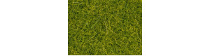 Statická tráva, světlá zelená, 4 mm, Noch 08363