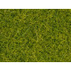 Statická tráva, světlá zelená, 4 mm, Noch 08363