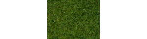 Statická tráva, světle zelená, 6 mm, 100 g, Noch 07092