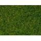 Statická tráva, světle zelená, 6 mm, 100 g, Noch 07092