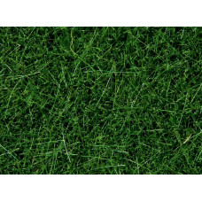 Statická tráva, tmavě zelená, 6 mm, 100 g, Noch 07094