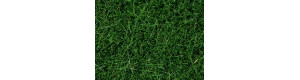 Statická tráva, tmavě zelená, 6 mm, 100 g, Noch 07094