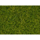 Statická tráva XL, světle zelená, 12 mm, 80 g, DOPRODEJ, Noch 07097