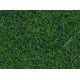 Statická tráva XL, tmavě zelená, 12 mm, 80 g, DOPRODEJ, Noch 07099