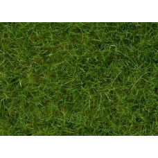 Statická tráva, světle zelená, 6 mm, 50 g, Noch 07102