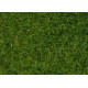 Statická tráva, světle zelená, 6 mm, 50 g, Noch 07102