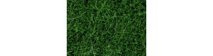 Statická tráva, tmavě zelená, 6 mm, 50 g, Noch 07106