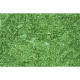 Listí sypané, středně zelená, Noch 07154