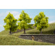 Listnaté stromy, světle zelené, 3 kusy, 7 cm, Auhagen 70935