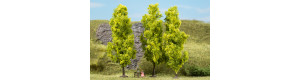 Listnaté stromy, světle zelené, 3 kusy, 15 cm, Auhagen 70939