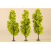 Listnaté stromy, světle zelené, 3 kusy, 15 cm, Auhagen 70939