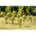 Mladé stromky, 10 kusů, H0/TT/N, Auhagen 70950