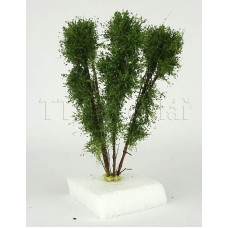 Vícekmenný strom, do 13 cm, zelený mix, Polák 9523