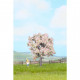 Ovocný strom kvetoucí, 7,5 cm, Noch 21570