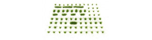 Travní drny, střední, varianta D3, zelená lesní, Polák 4133