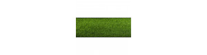 Travní koberec, tmavě zelená, Noch 00230