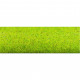 Travní koberec, květinová louka, Noch 00270