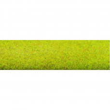 Travní koberec, letní louka, Noch 00280