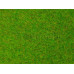 Travní koberec MINI, 40 x 30 cm, Noch 00005-5