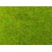 Travní koberec MINI, 40 x 30 cm, Noch 00005-6