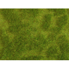 Travní koberec Natur+, svěží louka, Noch 07470