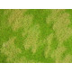 Travní koberec Natur+, divoká louka, Noch 07472