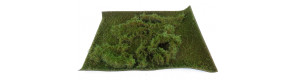 Lesní tráva, krátká, zelená střední, Polák 4904