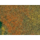 Travní koberec, letní louka, 35 x 50 cm, Auhagen 75116