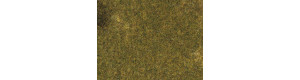 Travní koberec, podzimní louka, 35 x 50 cm, Auhagen 75117